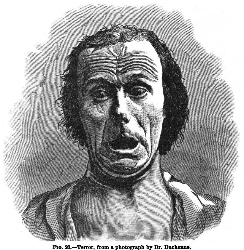 Terror. Fig. 20