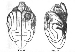 Engravings