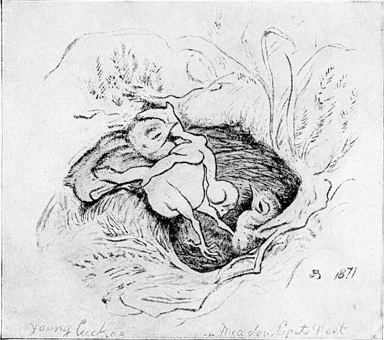 Fig. 17.—Young Cuckoo ejecting nestling Meadow Pipit. (From Mrs. Hugh Blackburn’s sketch in “Birds from Moidart.”)