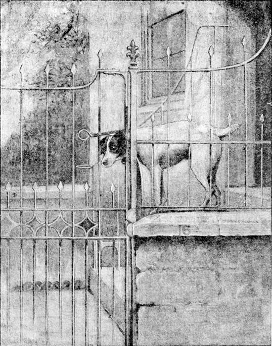Fig. 21.—Fox-terrier lifting the latch of a gate.