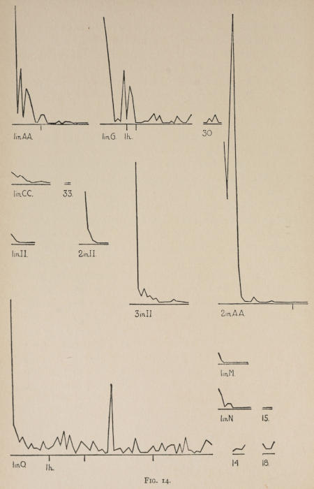 Fig. 14.