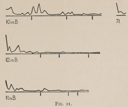 Fig. 21.