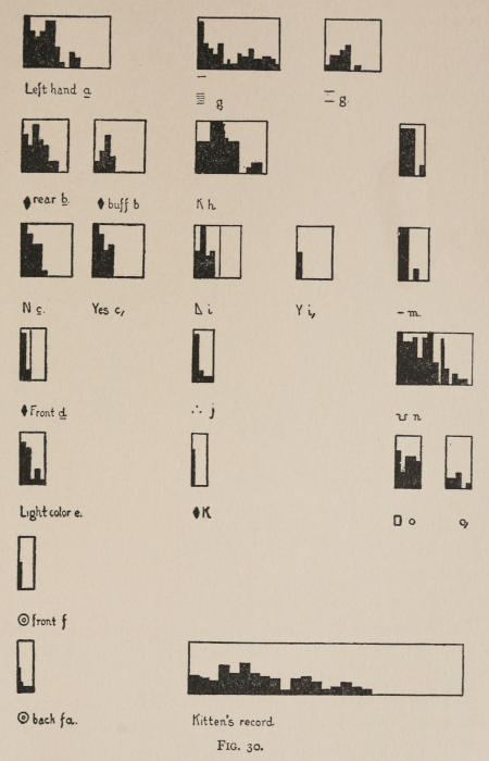 Fig. 30.